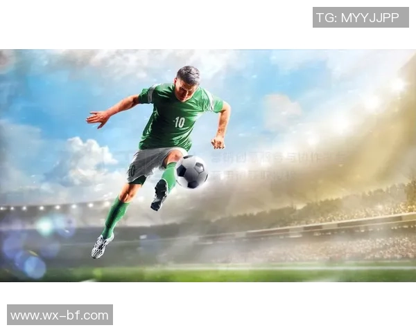 欧洲足球明星贴纸大全全景展示与收藏指南