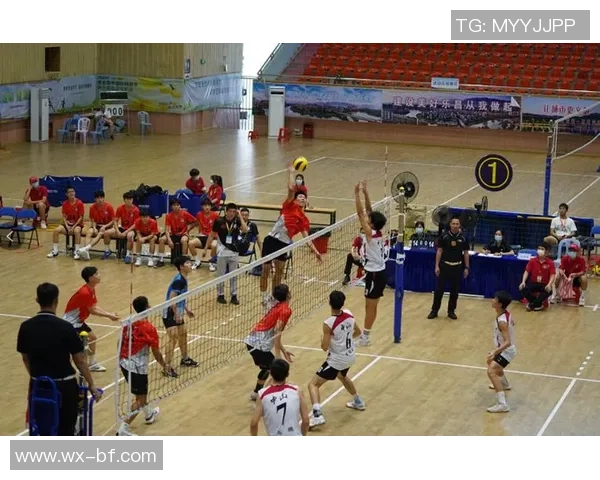 深圳排球队在全国排球力量排行榜中荣登第九名展现强劲实力与潜力 深圳排球队在全国排球力量排行榜中荣登第九名展现强劲实力与潜力