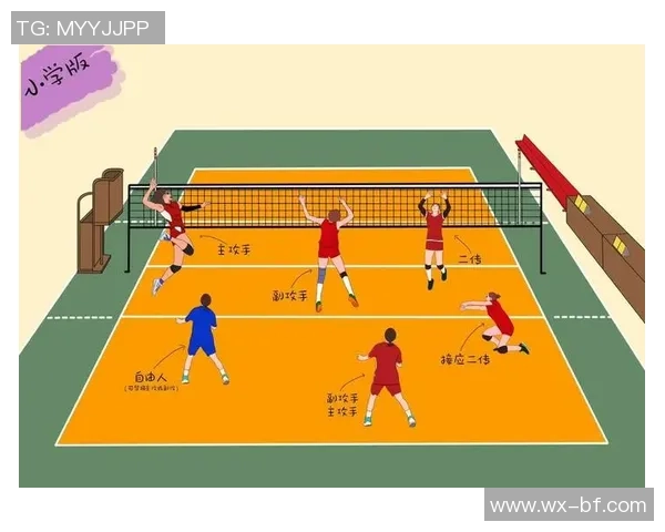 深圳排球队的默契配合与战术探讨：聚焦团队协作与比赛表现