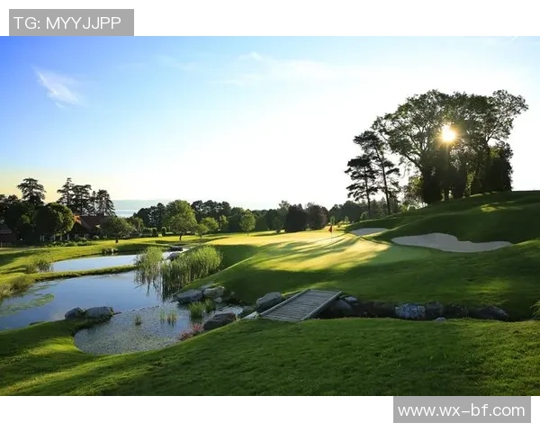 陈秀英专访:从球场到人生的启示与成长之路 陈秀英专访:从球场到人生的启示与成长之路