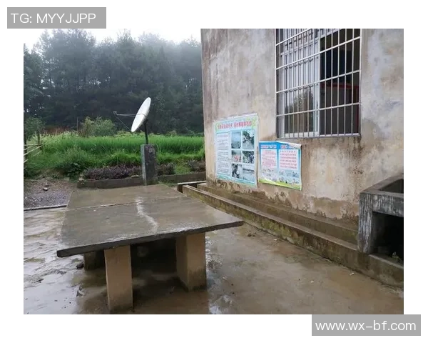 深度对话：张芳的乒乓球人生