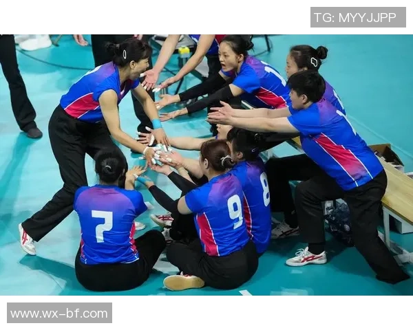 专业解读：上海排球队的包夹打法